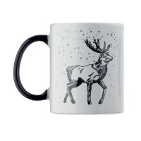 FESTIMUG